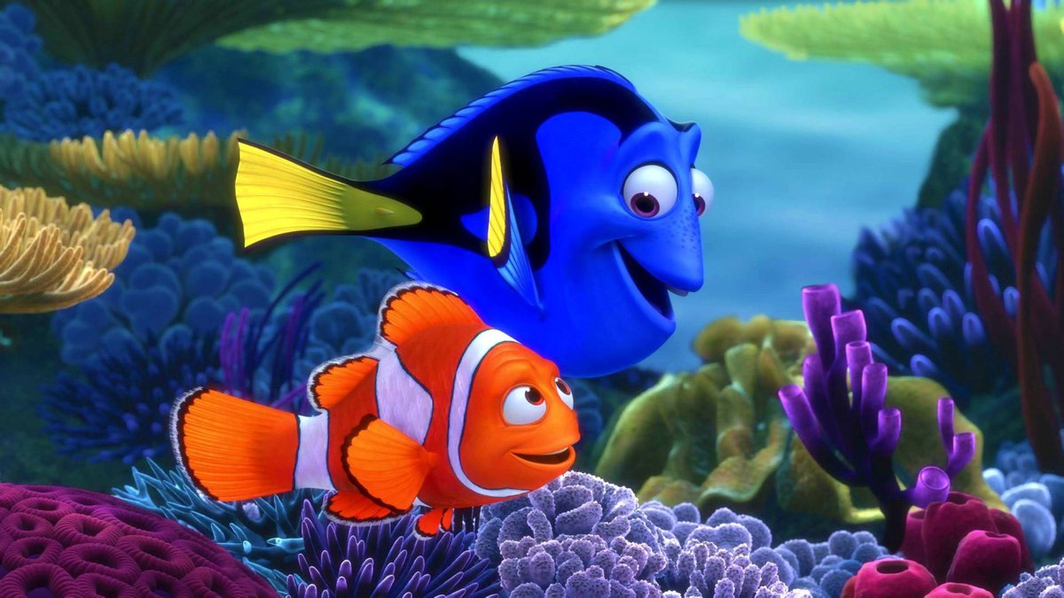 Real Nemo Fish Species From The Iconic Pixar Film